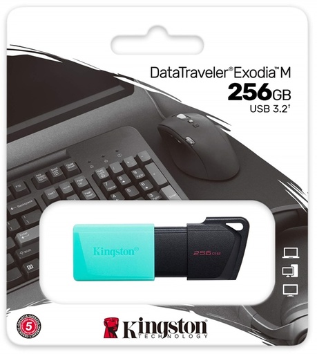 [TN] MEMORIA USB KINGSTON 256GB 3.2 (DTXM/256)