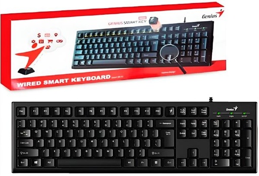 [TN] TECLADO GENIUS ALAMBRICO (KB-100)
